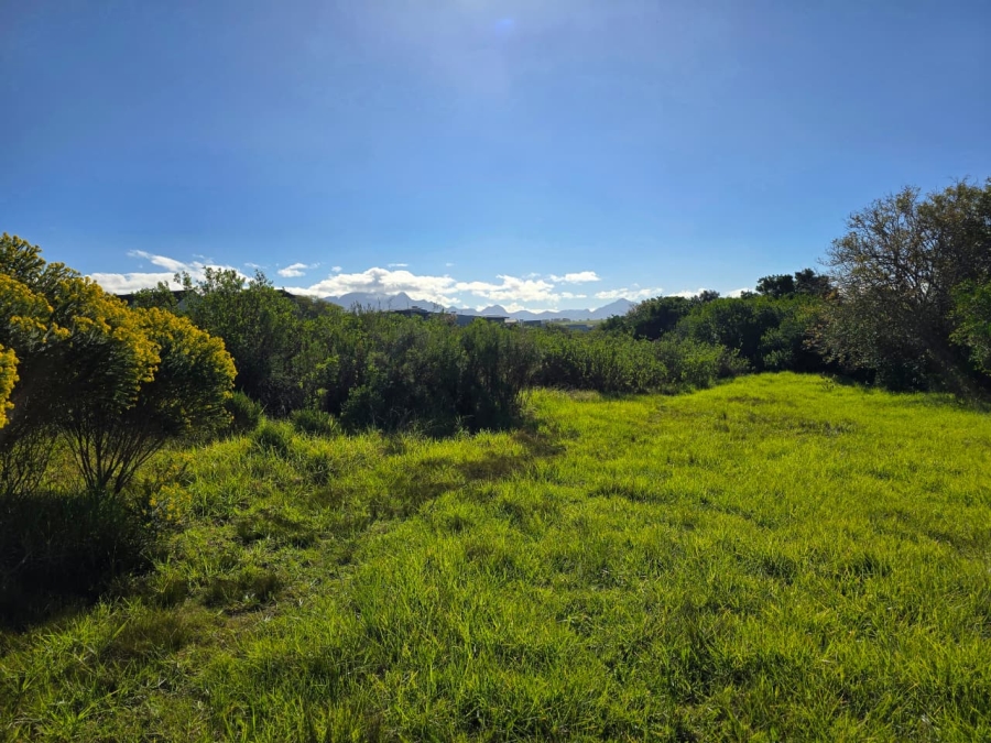 Commercial Property for Sale in Oubaai Western Cape